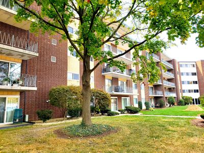 2B - 2900 Maple Avenue, Condo with 1 bedrooms, 1 bathrooms and 2 parking in Downers Grove IL | Image 1