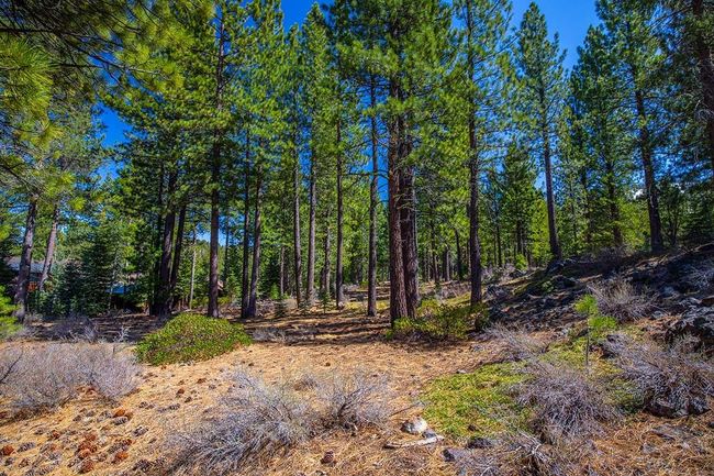 524 Lars Haugen, Home with 0 bedrooms, 0 bathrooms and null parking in Truckee CA | Image 6