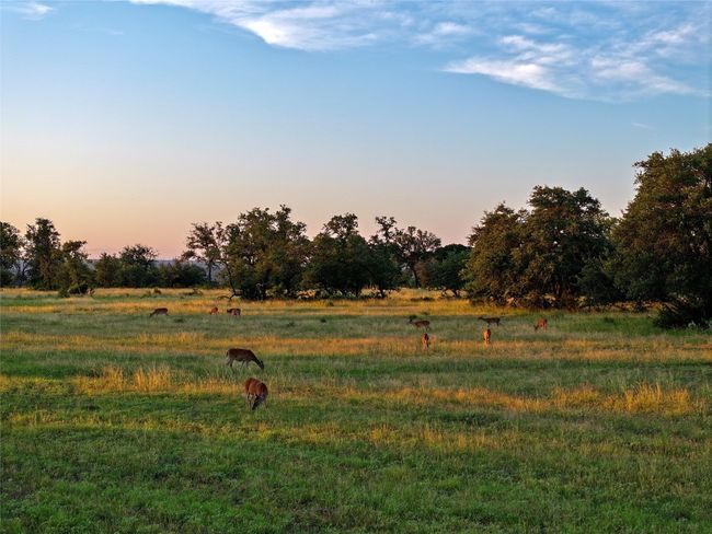 View of undeveloped land featuring rural landscape | Image 29