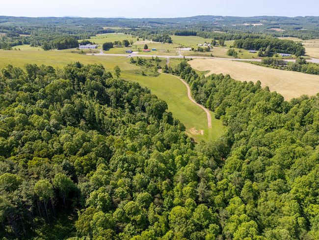 688 Gibson Knob Rd, Home with 0 bedrooms, 0 bathrooms and null parking in Laurel Fork VA | Image 27