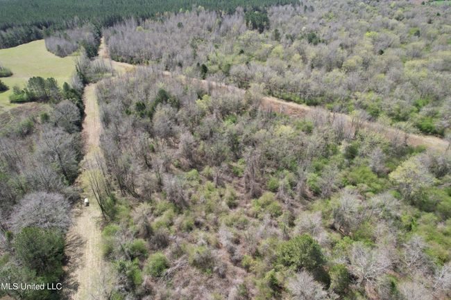 DJI_0028 | Image 50