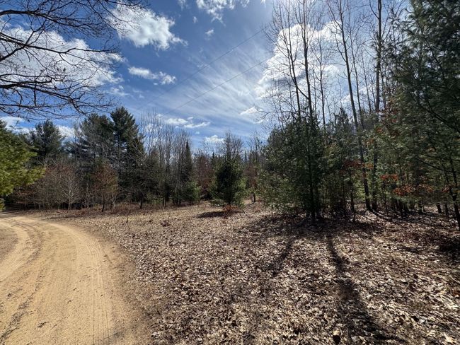 4233 Hardacre Trl, Home with 0 bedrooms, 0 bathrooms and null parking in Houghton Lake MI | Image 39