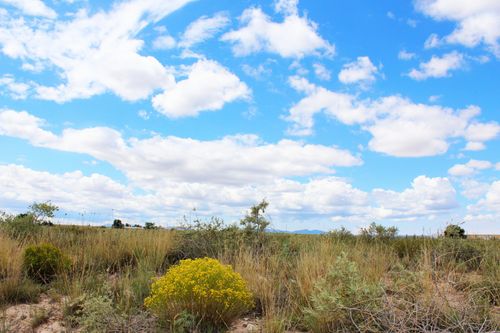 06 Mi Ranchitos Road, Estancia, NM, 87016 | Card Image