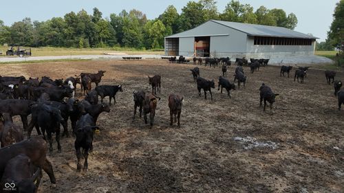 3234 N Spry Rd, Deputy, IN, 47230-8015 | Card Image