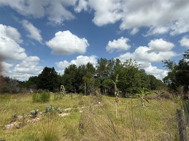 35215 Broken Bit Ln, House other with 3 bedrooms, 2 bathrooms and null parking in ZEPHYRHILLS FL | Image 14
