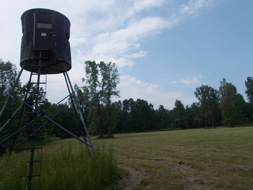 V/L N Scott Road, Mason Township, MI, 48766 | Card Image