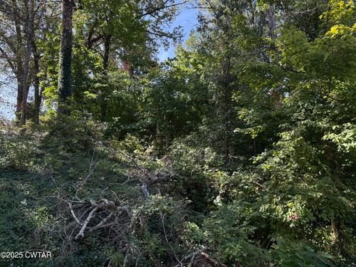 00 S Lattawoods Dr, Dyersburg, TN, 38024 | Card Image