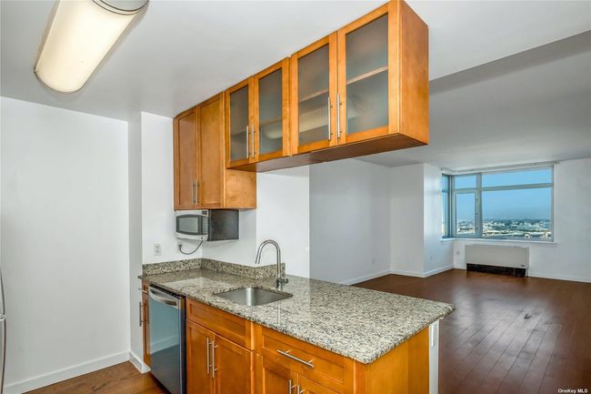 APT-1806 - 40 College Point Blvd, Condo with 2 bedrooms, 2 bathrooms and null parking in Flushing NY | Image 9
