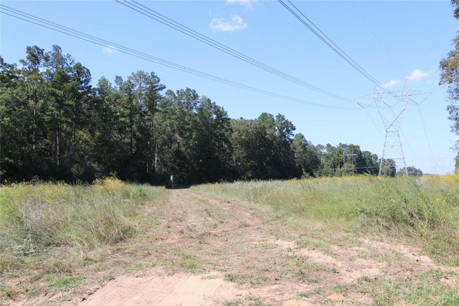 18156 State Highway 87 S, Home with 0 bedrooms, 0 bathrooms and null parking in Call TX | Image 8