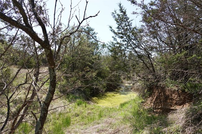 12345 County Road 107, Home with 0 bedrooms, 0 bathrooms and null parking in Mingus TX | Image 22