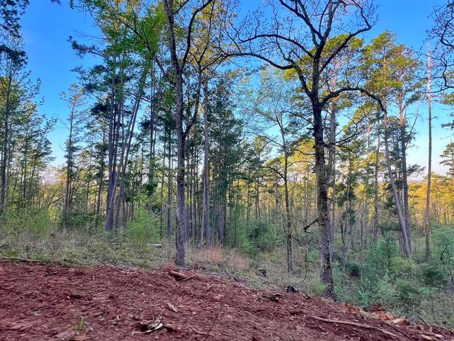 99 Cr 2107, Home with 0 bedrooms, 0 bathrooms and null parking in Rusk TX | Image 30