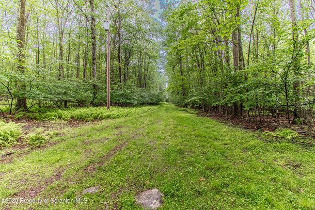 Undeveloped | Image 5