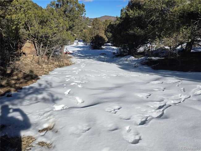 824 Shoshone Dr, Home with 0 bedrooms, 0 bathrooms and null parking in Canon City CO | Image 14