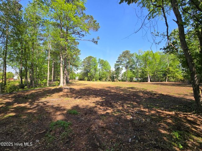 1254 Shenandoah St, Home with 0 bedrooms, 0 bathrooms and null parking in Wilmington NC | Image 16