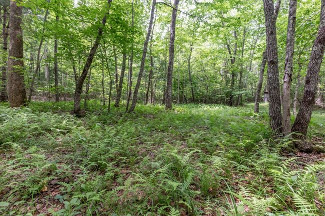 26.18 AC Green Road, Home with 0 bedrooms, 0 bathrooms and null parking in Young Harris GA | Image 29