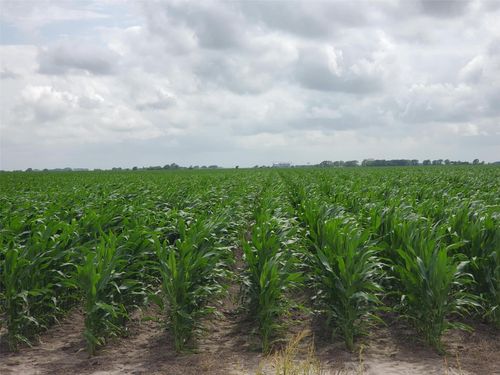 0 County Road 208, Ganado, TX, 77962 | Card Image