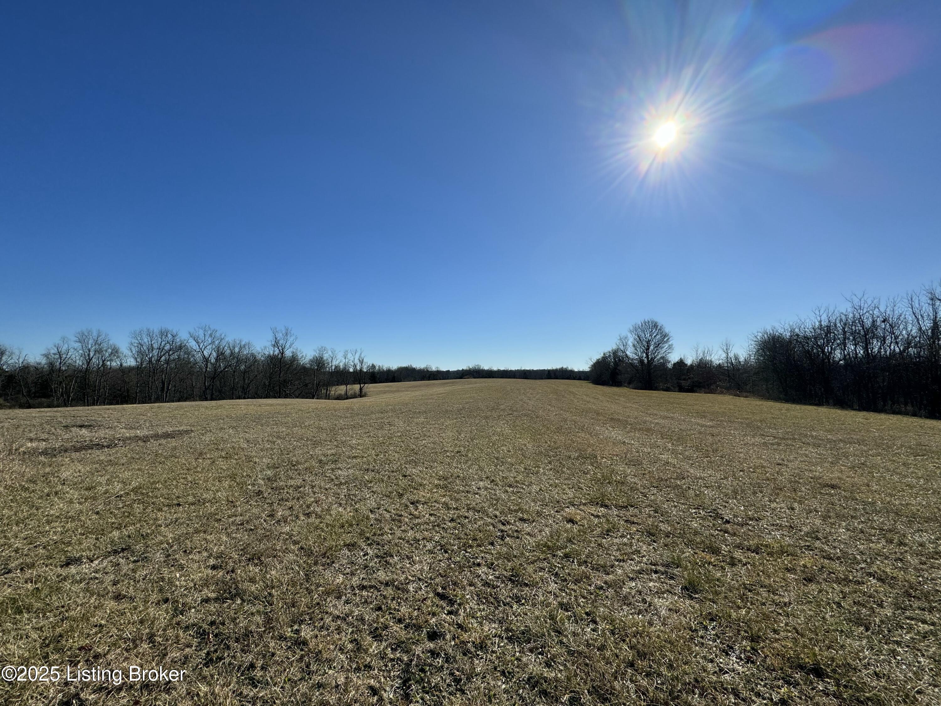 Land in Shelbyville 4