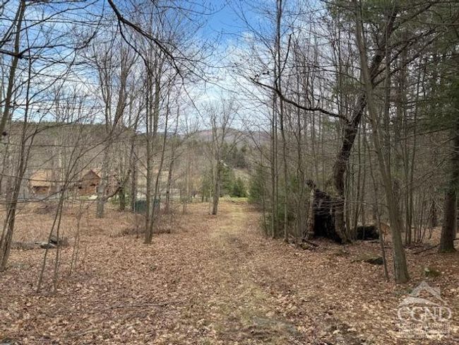 0 Campbell Rd, Home with 0 bedrooms, 0 bathrooms and null parking in Windham NY | Image 21