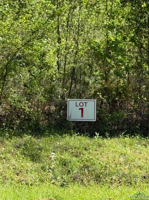 TBD LOT 1 S Fm 839, Henderson, TX, 75652 | Card Image