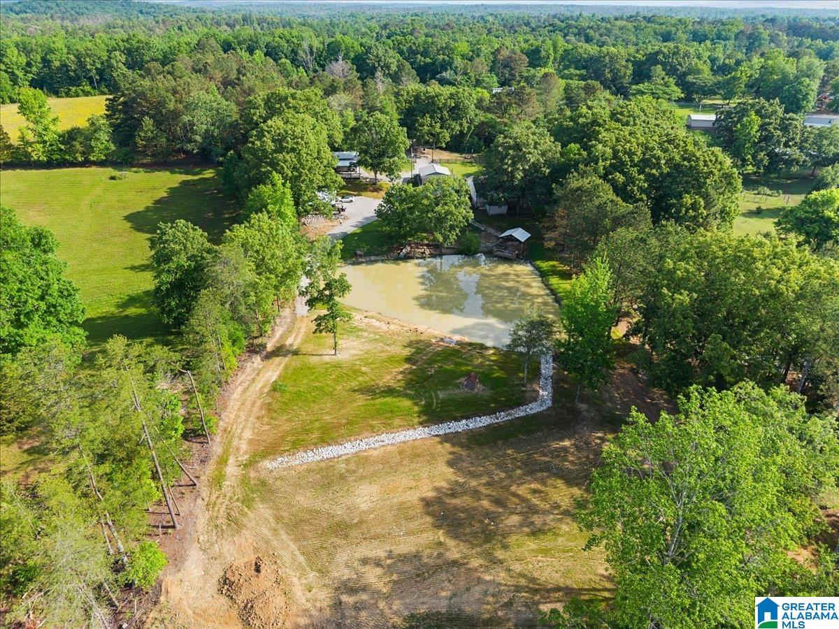 Commercial Sale in DOUBLE SPRINGS 3