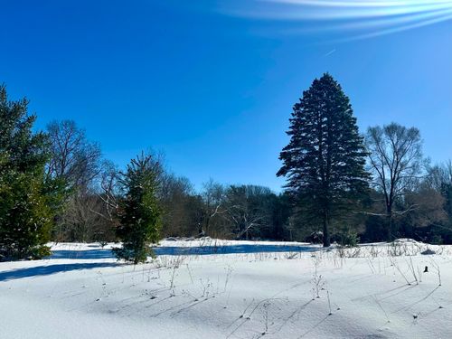 3505 65th St, Saugatuck, MI, 49453-9707 | Card Image