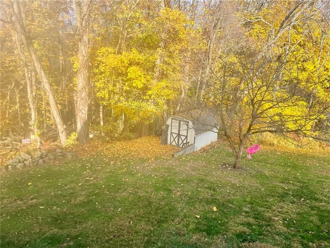 cute shed | Image 16