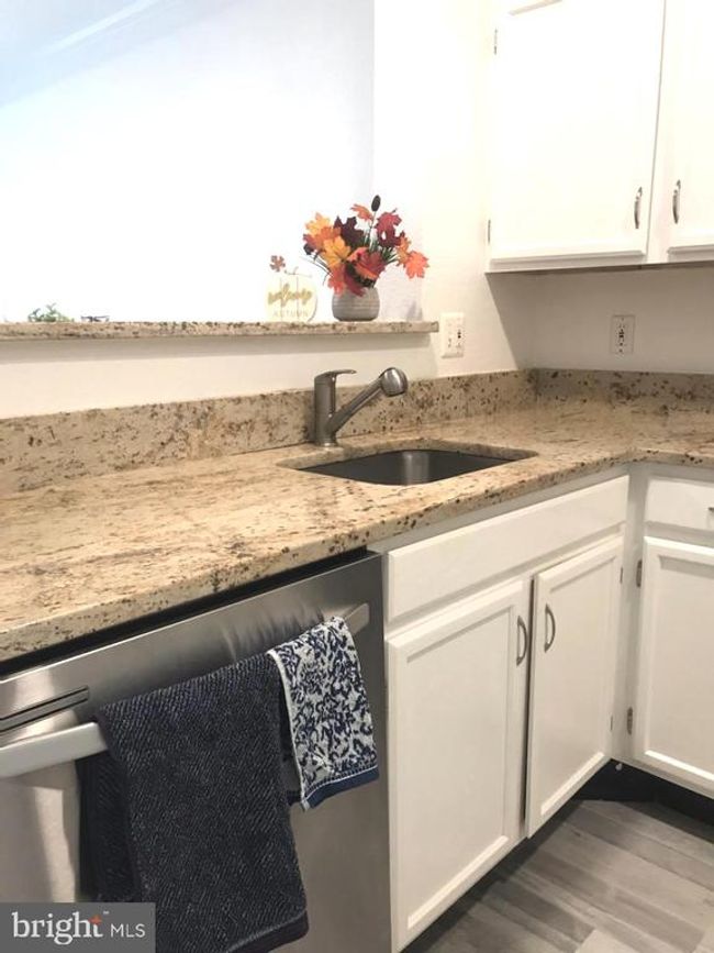 UNIT-10102 - 1521 Spring Gate Dr, Condo with 1 bedrooms, 1 bathrooms and null parking in MCLEAN VA | Image 4
