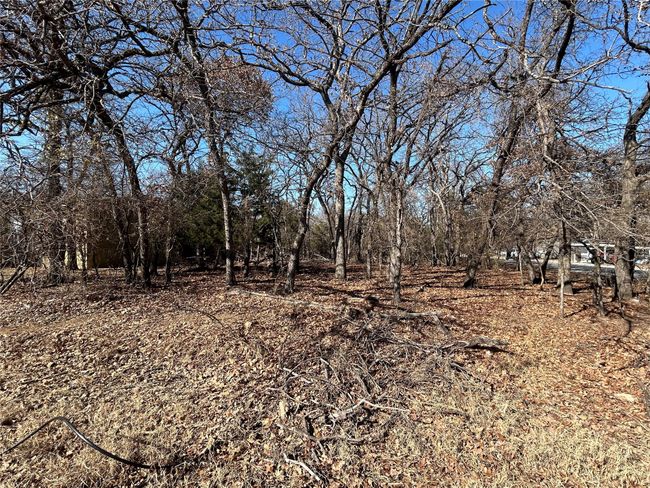 1701 Sheila Dr, Home with 0 bedrooms, 0 bathrooms and null parking in Azle TX | Image 6