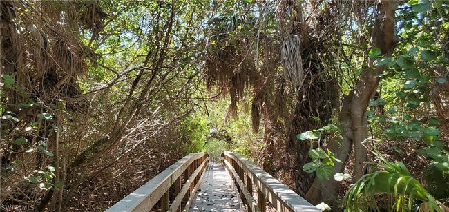 Bridge To The Beach! | Image 37