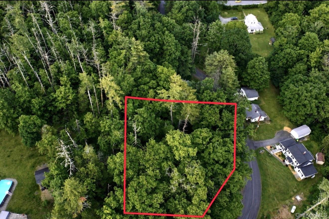 Land in Kingston 4