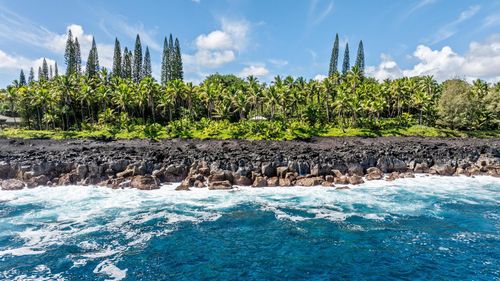 15-2649 Government Beach Rd, PAHOA, HI, 96778 | Card Image