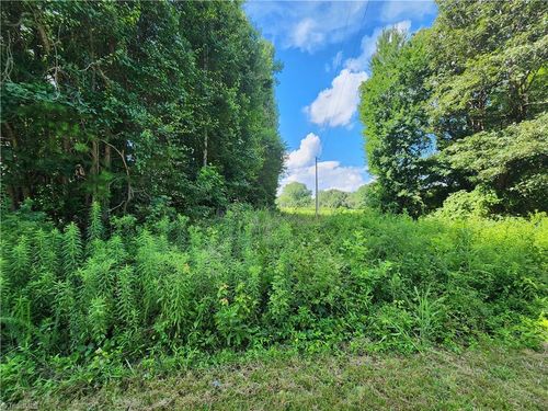 00 Billy Reynolds Rd, Yadkinville, NC, 27055 | Card Image