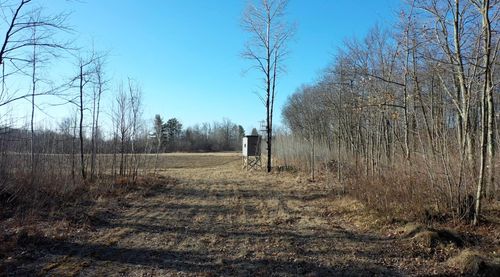 41993 590th St, Swatara, MN, 55785 | Card Image