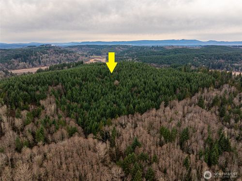 216 Zenkner Valley Rd Sw, Centralia, WA, 98531 | Card Image