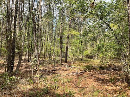 Lot 2B & 2C Fuller Springs Drive, Lufkin, TX, 75901 | Card Image