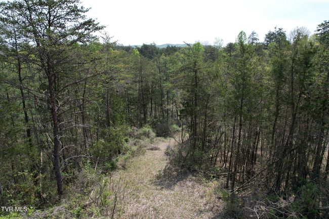 0 Coy Bradley Ln, Home with 0 bedrooms, 0 bathrooms and null parking in Bulls Gap TN | Image 16