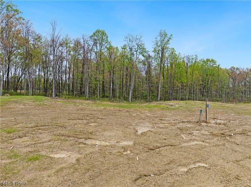 9527 River Birch Run, Brecksville, OH, 44141 | Card Image