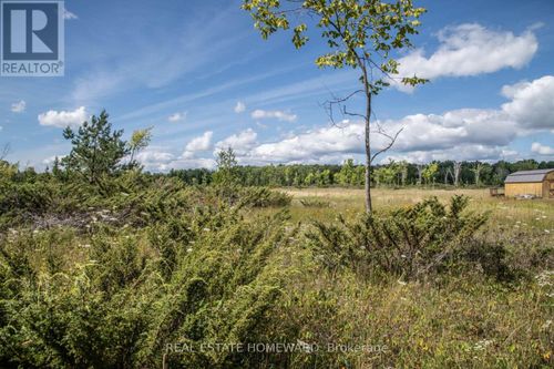 LOT 250 Mcguire Beach Road, Kawartha Lakes (Carden), ON, K0M2B0 | Card Image