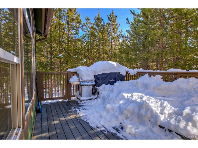 308 Red Hawk Cir, House other with 6 bedrooms, 5 bathrooms and null parking in SILVERTHORNE CO | Image 14