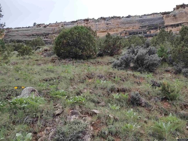 100 Smilo Draw, Home with 0 bedrooms, 0 bathrooms and null parking in Ten Sleep WY | Image 26