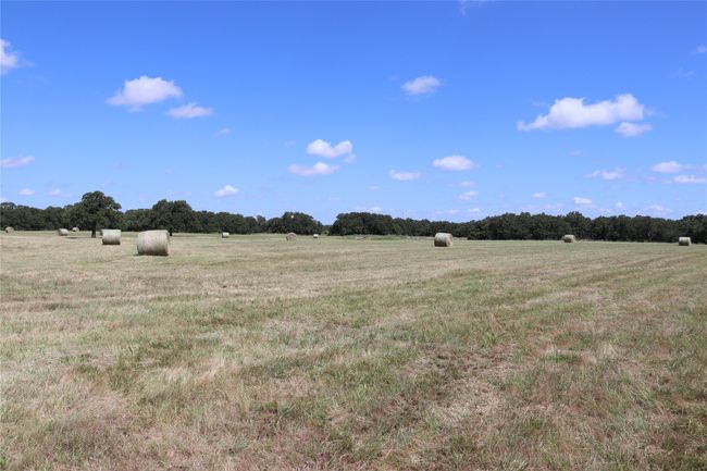 20 N Carroll St, Home with 0 bedrooms, 0 bathrooms and null parking in Henrietta TX | Image 10