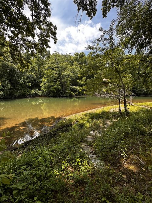 238 Texas Bottom Ln, Hohenwald, TN, 38462 | Card Image