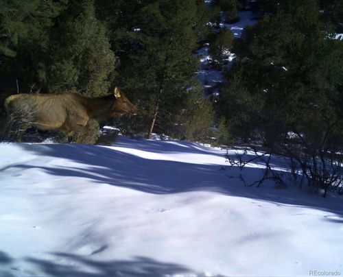 22738 County Road M.5, San Luis, CO, 81152 | Card Image