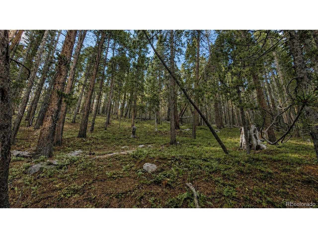 Land in Idaho Springs 4