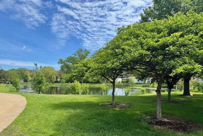 APT-3A - 825 Pearson St, Condo with 2 bedrooms, 2 bathrooms and 1 parking in Des Plaines IL | Image 19