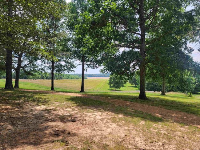 1199 Greene Road 607, House other with 3 bedrooms, 3 bathrooms and null parking in Beech Grove AR | Image 26