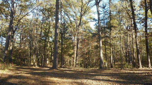 293 Private Road 8585, Winnsboro, TX, 75494-8097 | Card Image