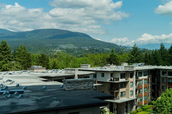 Mountain view with a heavily wooded area | Image 32