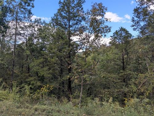 56 Haddock Ln, Holiday Island, AR, 72631-5117 | Card Image