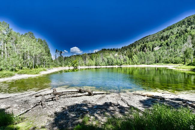 View of water feature with a forest view | Image 51